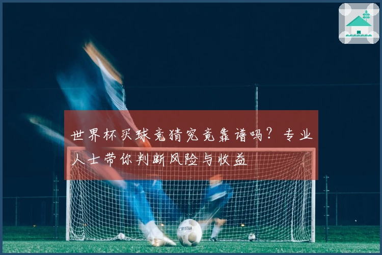 世界杯买球竞猜究竟靠谱吗？专业人士带你判断风险与收益