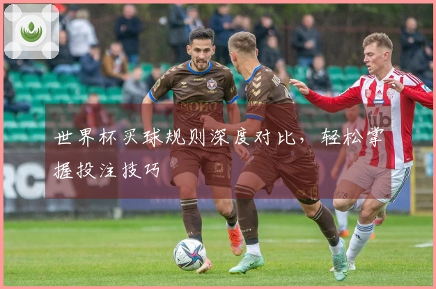 世界杯买球规则深度对比，轻松掌握投注技巧