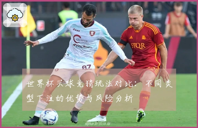 世界杯买球竞猜玩法对比：不同类型下注的优势与风险分析