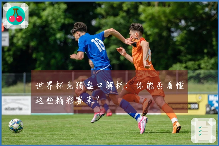 世界杯竞猜盘口解析：你能否看懂这些精彩赛果？