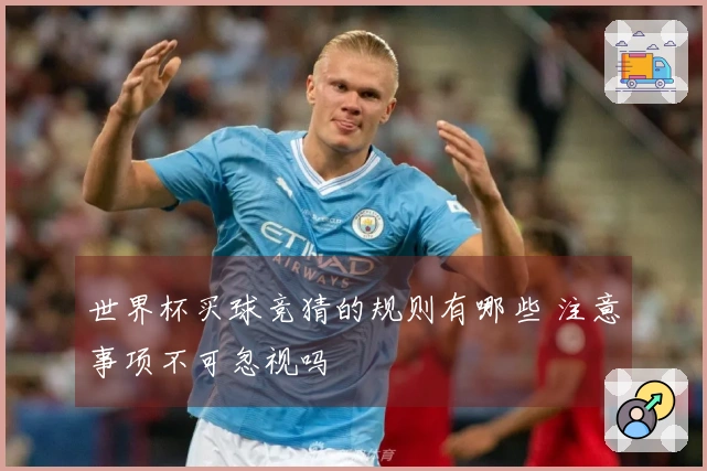 世界杯买球竞猜的规则有哪些 注意事项不可忽视吗