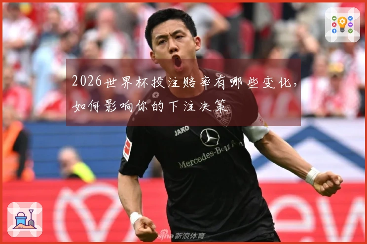2026世界杯投注赔率有哪些变化，如何影响你的下注决策