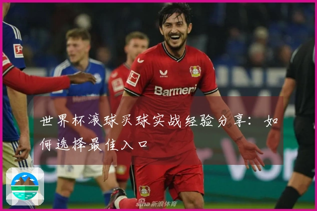 世界杯滚球买球实战经验分享：如何选择最佳入口