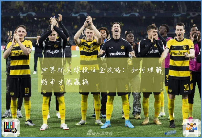 世界杯买球投注全攻略：如何理解赔率才能赢钱