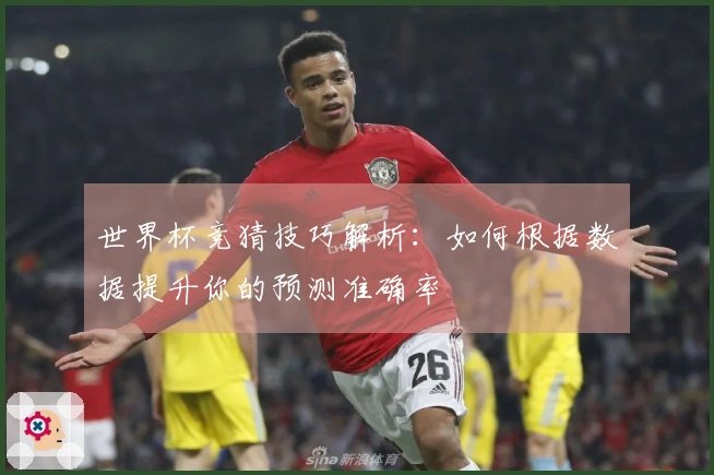 世界杯竞猜技巧解析：如何根据数据提升你的预测准确率